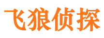 龙川出轨调查